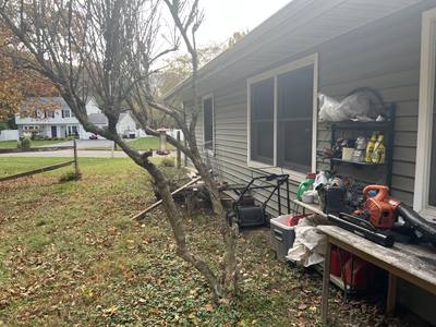 0077_oTBV2u9.jpg