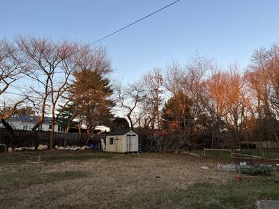 0010_Fa115VX.jpg