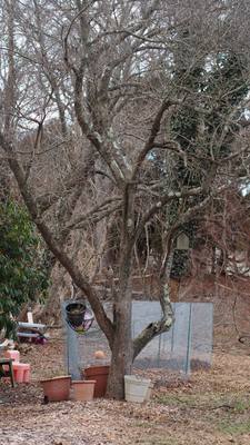 0015_0P6HrWr.jpg