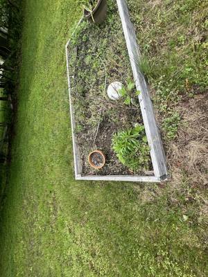 0022_2y6arEL.jpeg