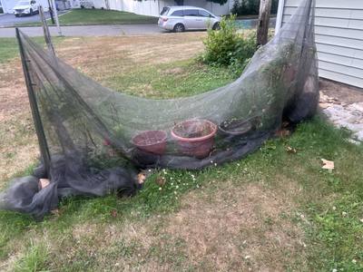 IMG_9579