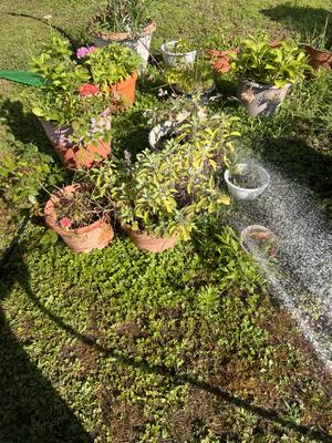 IMG_0831