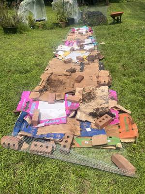 Flattened Costco produce boxes laid over the mesh, weighted with bricks