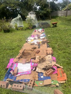 Cardboard layer over the mesh, second angle