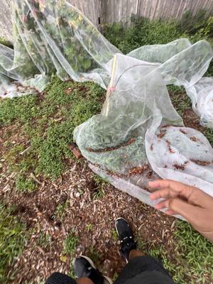 Fine mesh netting collapsed on the ground with a snapped support stake