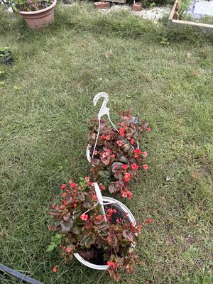IMG_0597